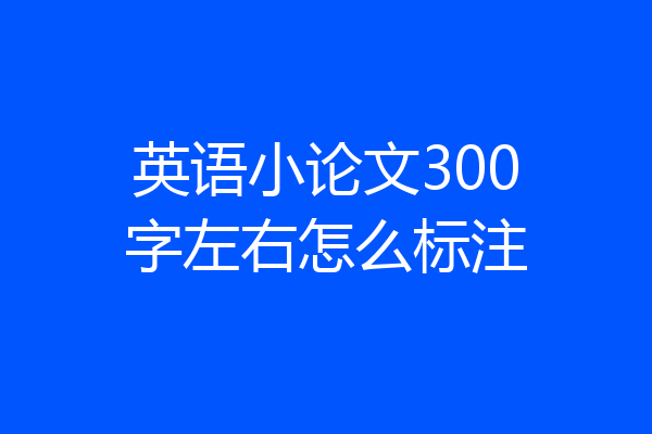 英语小论文300字左右怎么标注