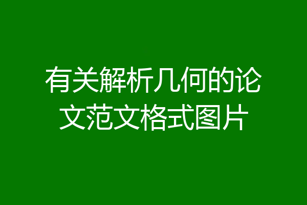 有关解析几何的论文范文格式图片