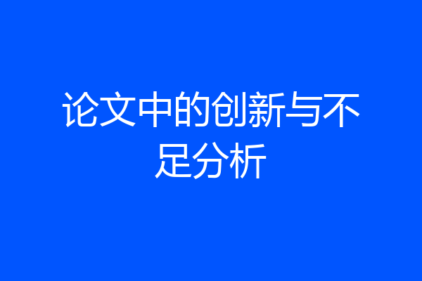 论文中的创新与不足分析