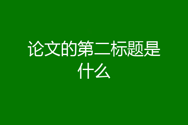 论文的第二标题是什么