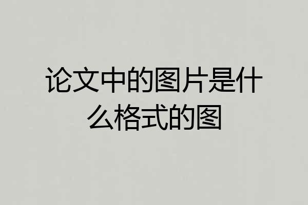 论文中的图片是什么格式的图