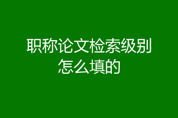 职称论文检索级别怎么填的
