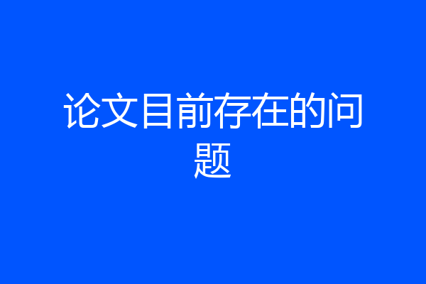 论文目前存在的问题