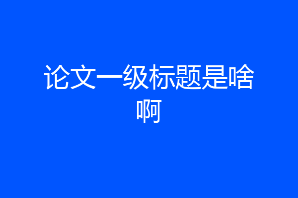 论文一级标题是啥啊