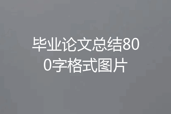 毕业论文总结800字格式图片