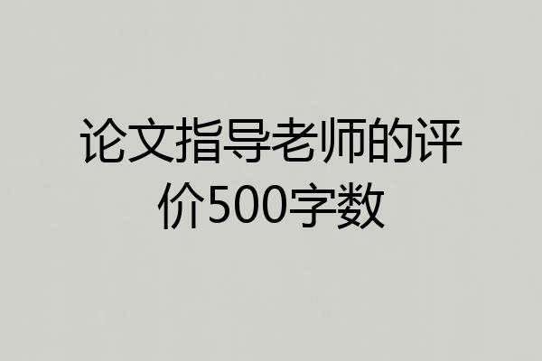 论文指导老师的评价500字数