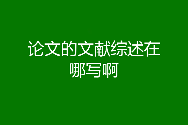 论文的文献综述在哪写啊