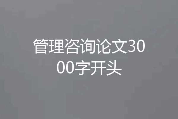管理咨询论文3000字开头
