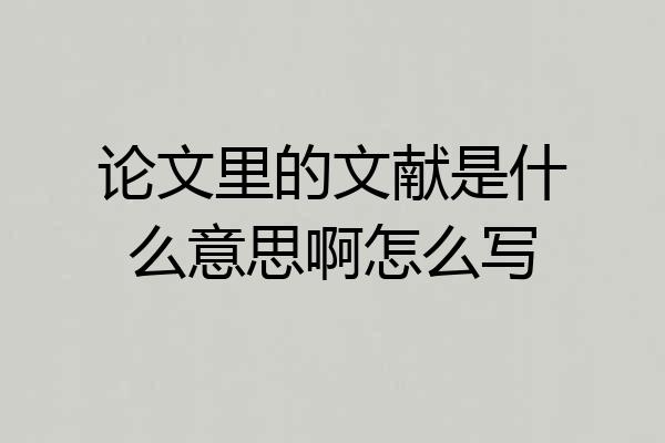 论文里的文献是什么意思啊怎么写