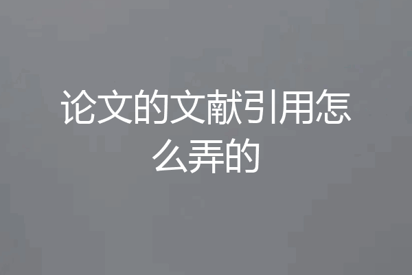 论文的文献引用怎么弄的