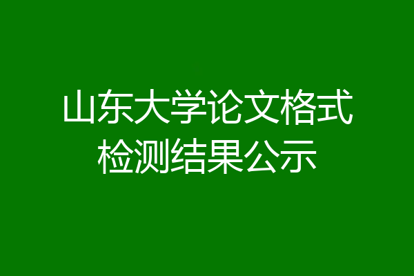 山东大学论文格式检测结果公示