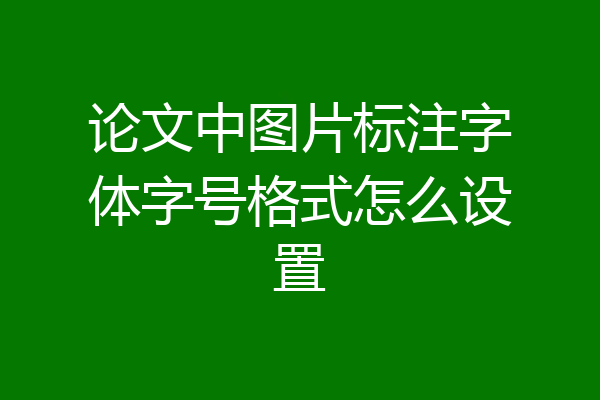 论文中图片标注字体字号格式怎么设置
