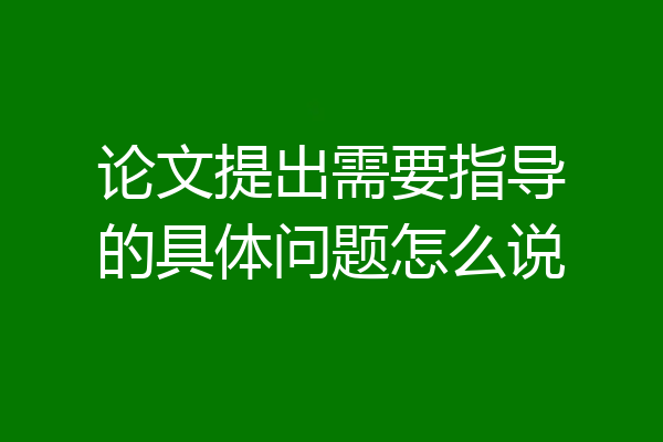 论文提出需要指导的具体问题怎么说