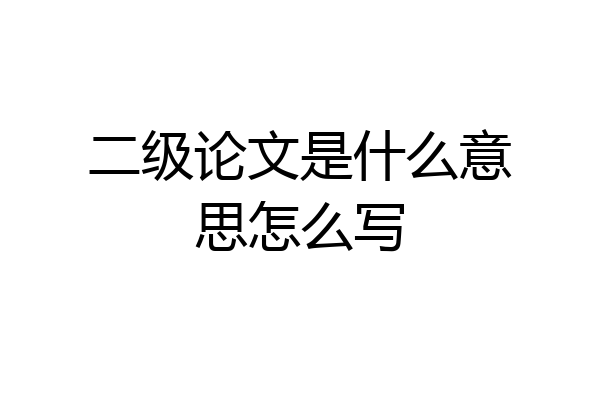 二级论文是什么意思怎么写
