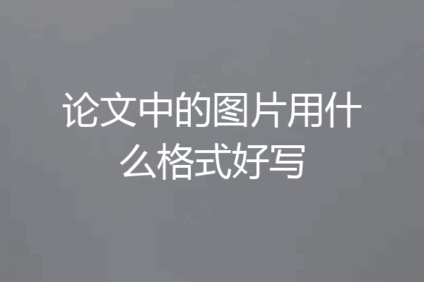 论文中的图片用什么格式好写