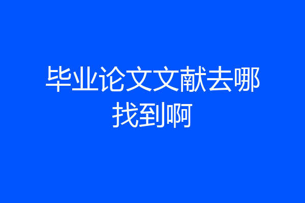 毕业论文文献去哪找到啊