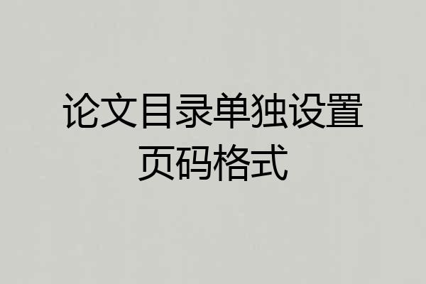 论文目录单独设置页码格式