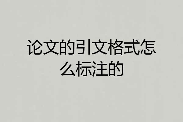 论文的引文格式怎么标注的