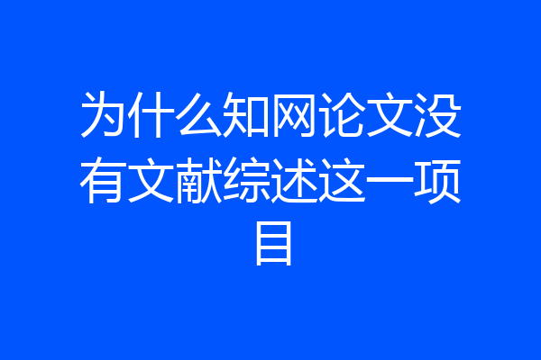 为什么知网论文没有文献综述这一项目