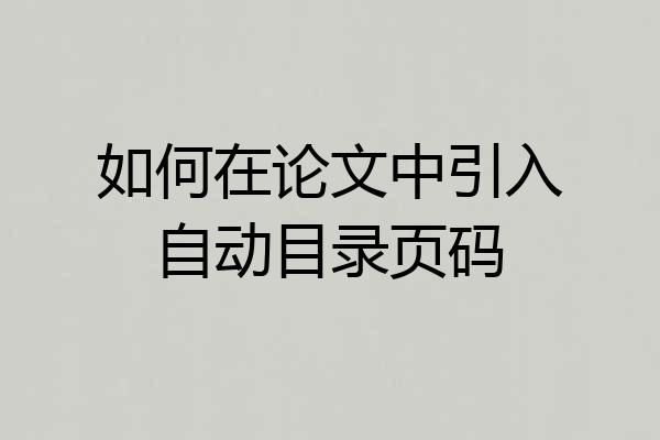 如何在论文中引入自动目录页码