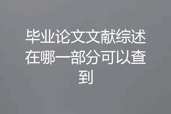毕业论文文献综述在哪一部分可以查到