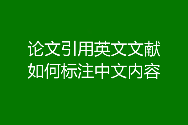 论文引用英文文献如何标注中文内容