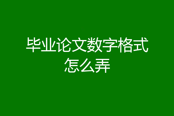 毕业论文数字格式怎么弄