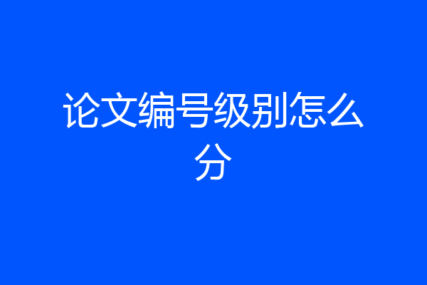 论文编号级别怎么分