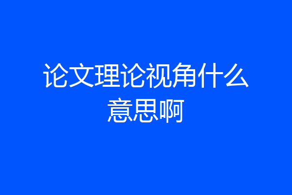 论文理论视角什么意思啊