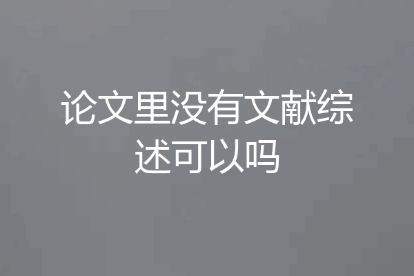 论文里没有文献综述可以吗