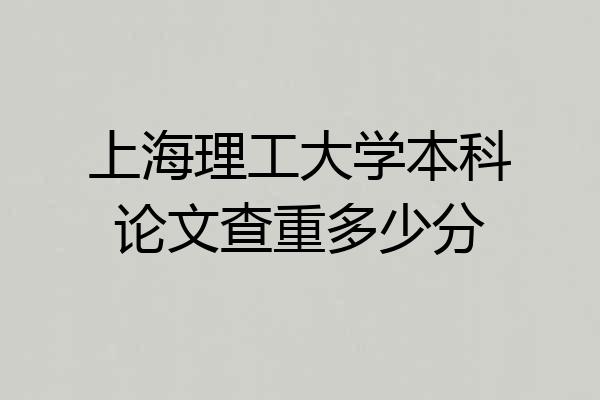 上海理工大学本科论文查重多少分