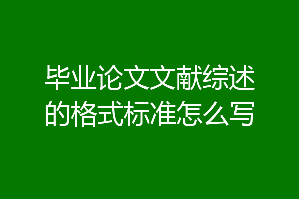 毕业论文文献综述的格式标准怎么写