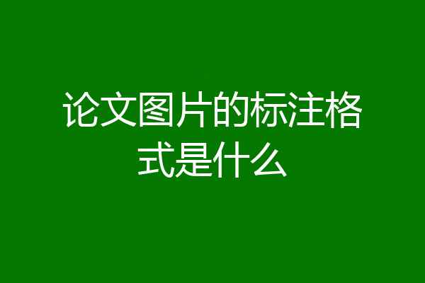论文图片的标注格式是什么