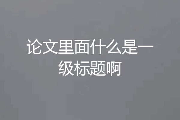 论文里面什么是一级标题啊