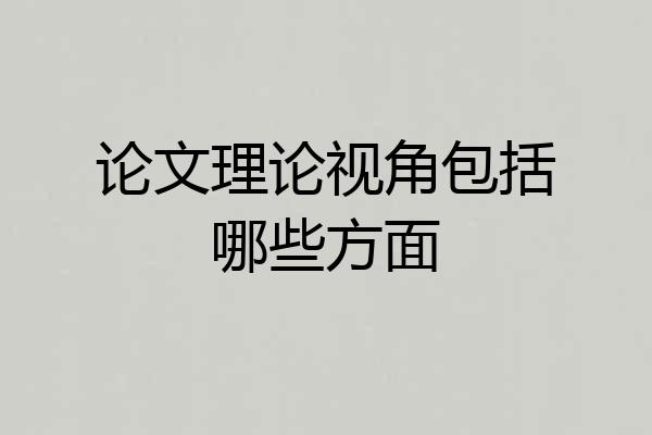 论文理论视角包括哪些方面