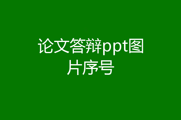 论文答辩ppt图片序号