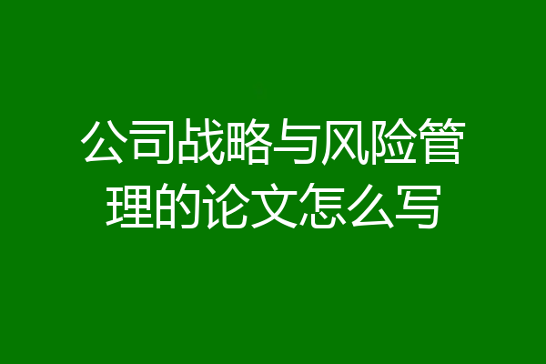 公司战略与风险管理的论文怎么写