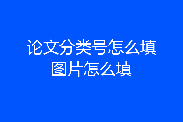 论文分类号怎么填图片怎么填