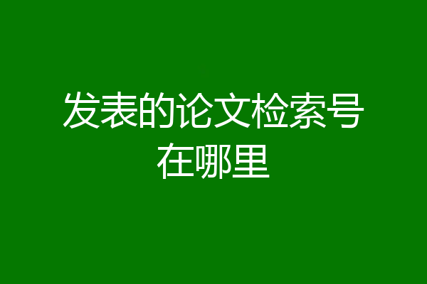 发表的论文检索号在哪里
