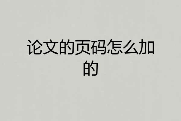 论文的页码怎么加的