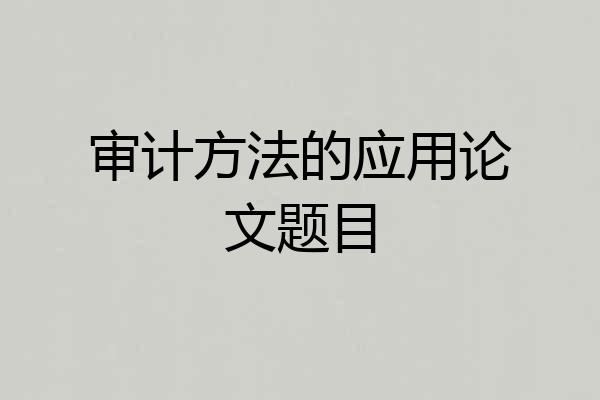 审计方法的应用论文题目