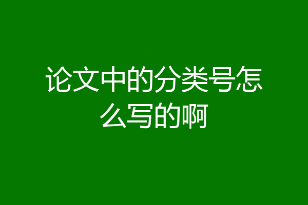 论文中的分类号怎么写的啊