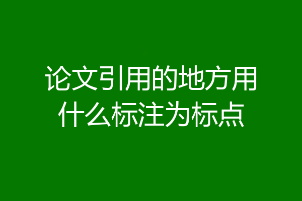 论文引用的地方用什么标注为标点