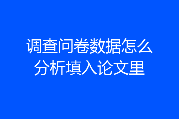 调查问卷数据怎么分析填入论文里