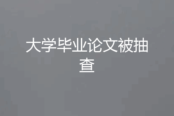 大学毕业论文被抽查