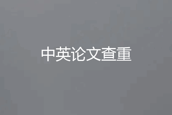 中英论文查重