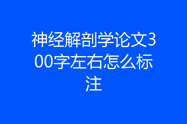 神经解剖学论文300字左右怎么标注