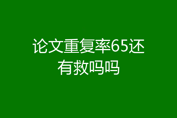 论文重复率65还有救吗吗