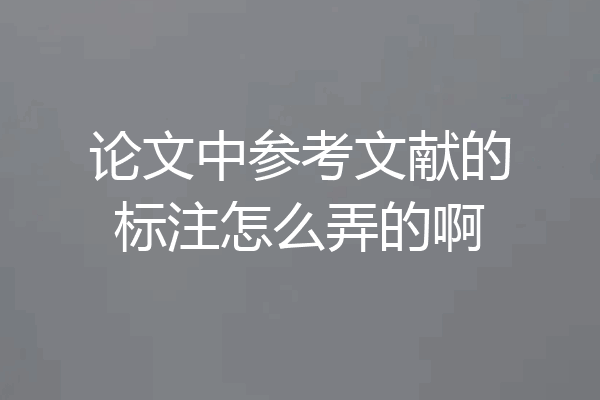 论文中参考文献的标注怎么弄的啊