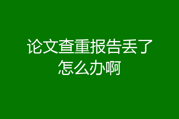 论文查重报告丢了怎么办啊